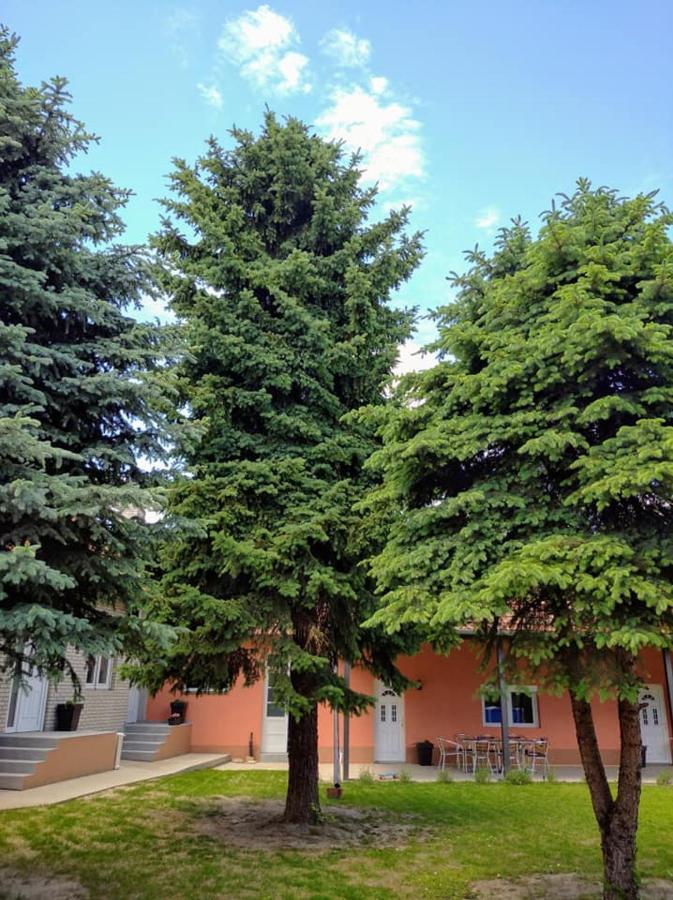 Dumalux Apartment Subotica Eksteriør billede